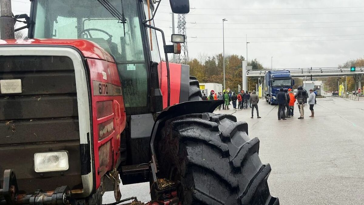 « Gêner sans bloquer » : sur l’A1 et l’A16, les agriculteurs en colère s’attaquent aux chargements des camions