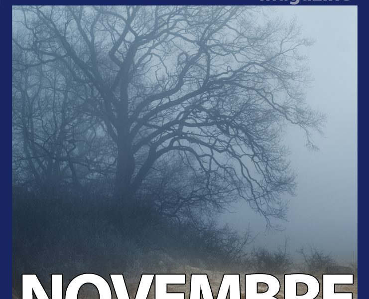 Gorafi Magazine : Novembre – Le mois de trop ?