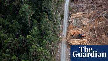 Greens drop climate trigger demand in attempt to restart Nature Positive talks with Labor