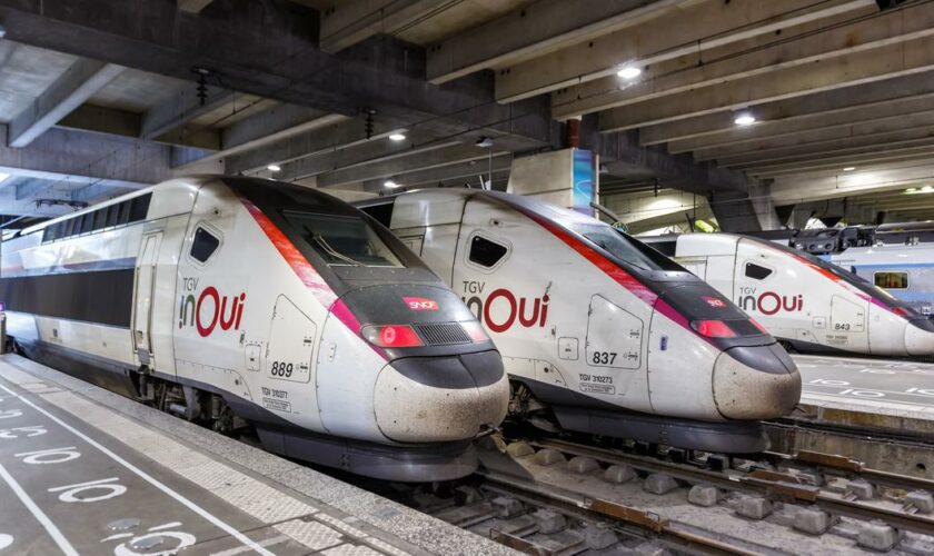 Grève SNCF : le trafic sera «quasi normal sur les TGV» jeudi, quelques lignes régionales perturbées