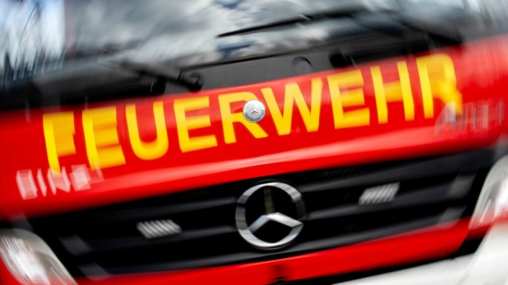 In Zeitz (Burgenlandkreis) ist die Feuerwehr im Großeinsatz in einem Einkaufszentrum. (Symbolbild) Foto: Hauke-Christian Dittric