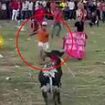 Horrifying moment thrill-seeker is killed instantly in failed attempt to somersault over a raging bull during traditional festival