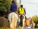 Horse rider faces police probe after calling gypsy a 'pikey' when he 'threatened her family'