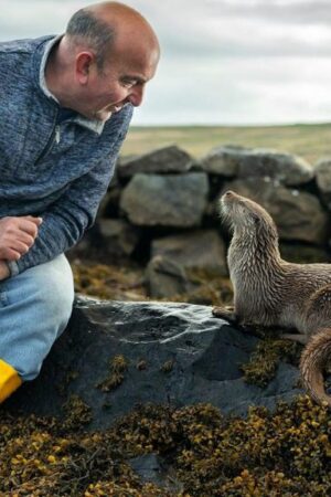 How Billy met Molly - the orphaned otter who is now part of the family