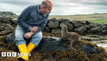 How Billy met Molly - the orphaned otter who is now part of the family