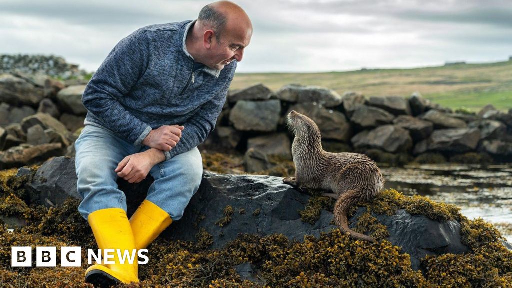 How Billy met Molly - the orphaned otter who is now part of the family