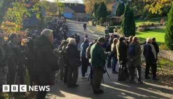 Hundreds flock to quiet cul-de-sac after rare bird spotted on washing line