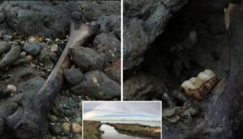 'I went to UK's 'ghost island' you can only see by kayak – what happened next was eerie'