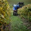 « Il est impératif que les aides soient attribuées aux pratiques agricoles respectueuses de l’environnement et de la santé humaine »