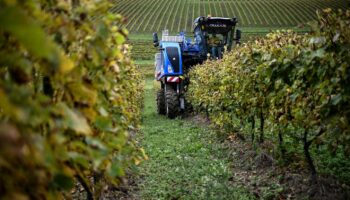 « Il est impératif que les aides soient attribuées aux pratiques agricoles respectueuses de l’environnement et de la santé humaine »