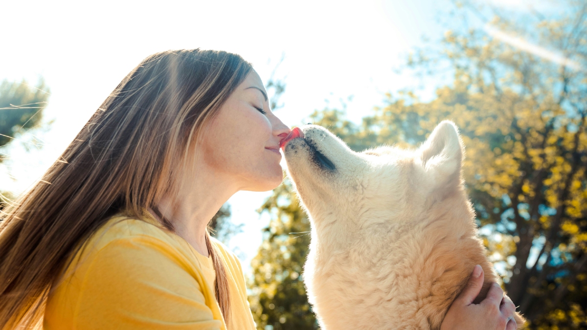 Il est temps d'arrêter les bisous avec votre chien, on vous explique pourquoi