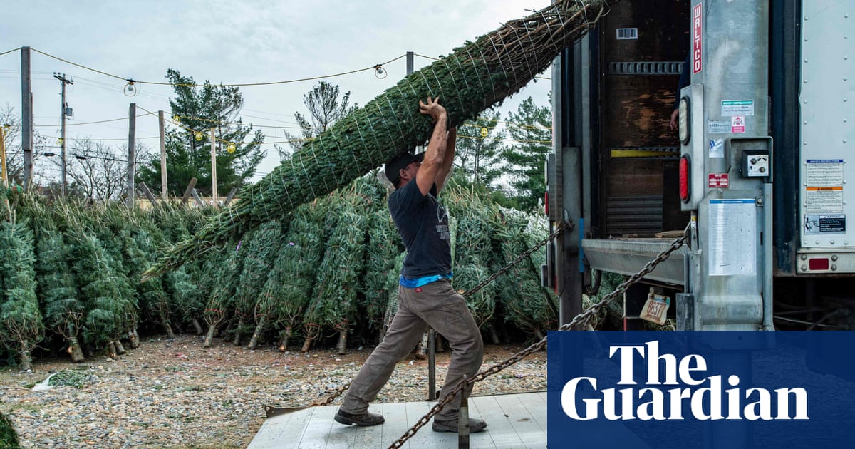 Imported Christmas trees cost more thanks to post-Brexit checks