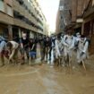 Inondations en Espagne: Le président de la région de Valence présente ses "excuses"