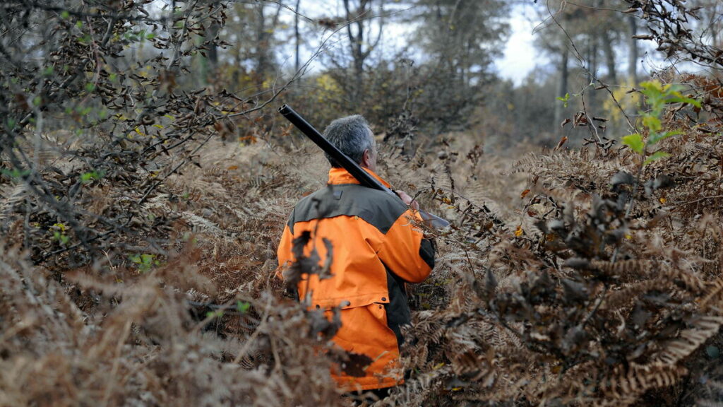 « Je pensais avoir marché sur une mine » : un promeneur amputé après un accident de chasse dans le Var