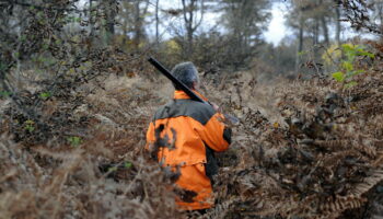 « Je pensais avoir marché sur une mine » : un promeneur amputé après un accident de chasse dans le Var