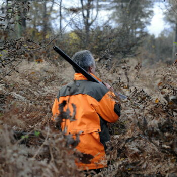 « Je pensais avoir marché sur une mine » : un promeneur amputé après un accident de chasse dans le Var