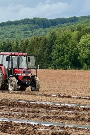 Jeunes agriculteurs: Les contraintes de la reprise d'une exploitation au Luxembourg