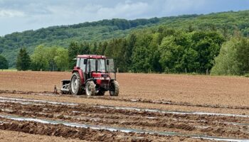 Jeunes agriculteurs: Les contraintes de la reprise d'une exploitation au Luxembourg