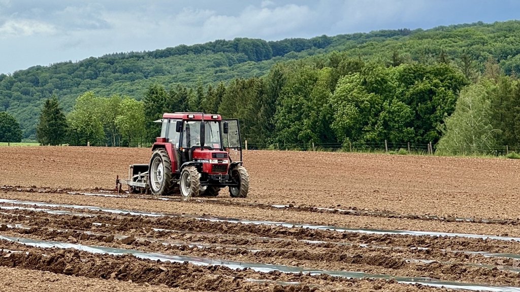 Jeunes agriculteurs: Les contraintes de la reprise d'une exploitation au Luxembourg