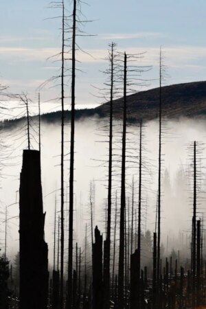 Klimawandel: Schlägt die Natur zurück?