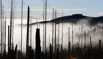 Klimawandel: Schlägt die Natur zurück?