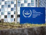 LEO MCKINSTRY: The deluded, partisan International Criminal Court has gone too far this time