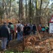 LGV entre Toulouse et Bordeaux : plus d’une centaine d’arbres coupés sur le tracé de la ligne