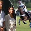 LIZ JONES: Harry and Meghan's new reality show is as fake as Made In Chelsea. How can the King's son have put his name to such trash?