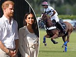 LIZ JONES: Harry and Meghan's new reality show is as fake as Made In Chelsea. How can the King's son have put his name to such trash?