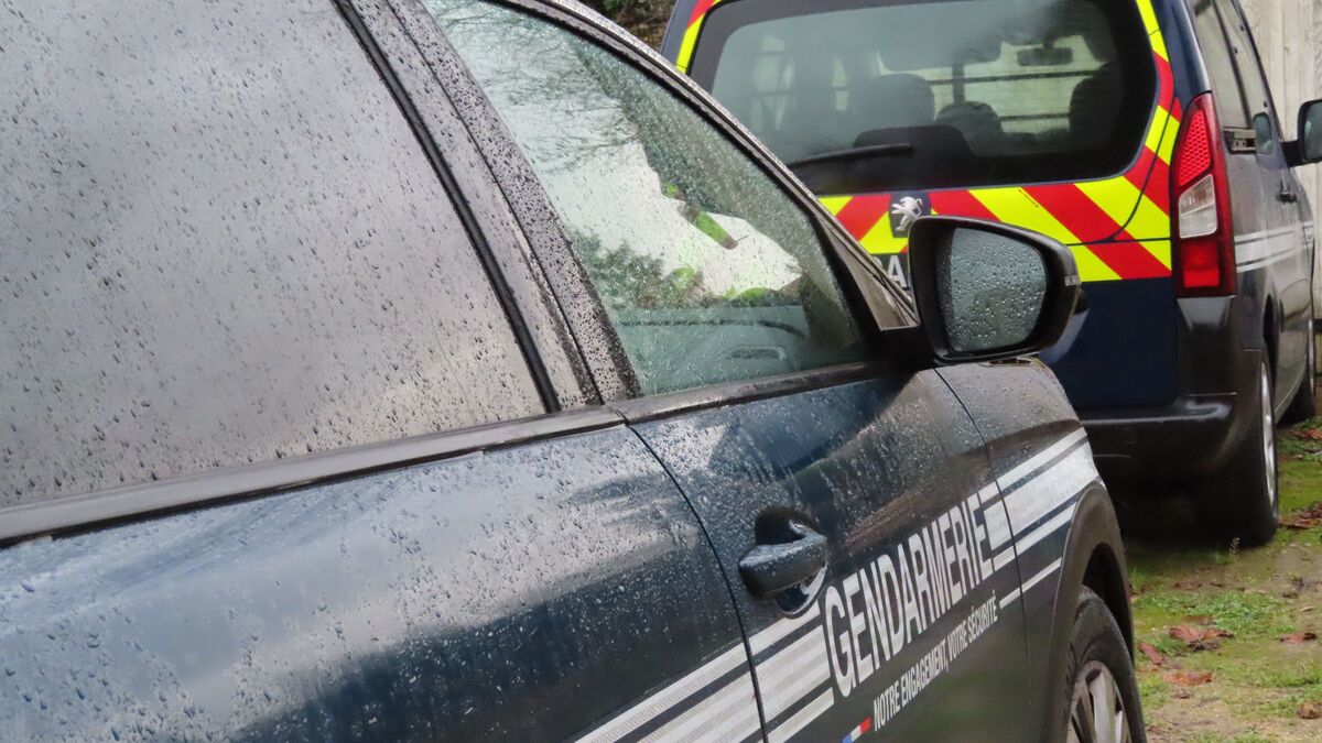 La Ferté-sous-Jouarre : il roule à plus de 100 km/h dans les rues de la ville pour échapper aux gendarmes