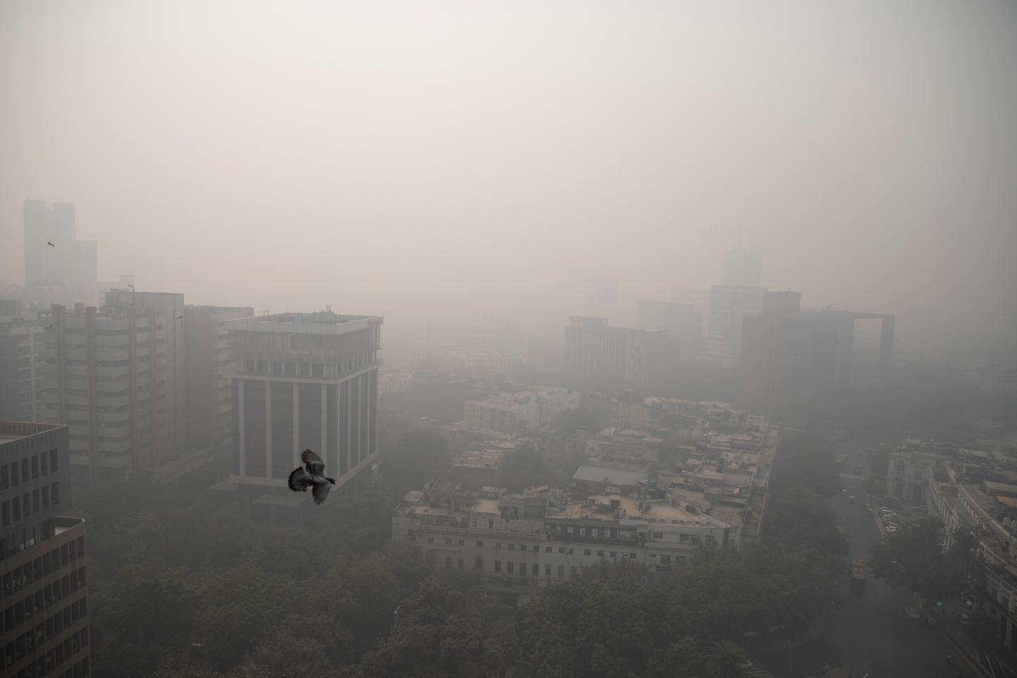 La pollution de l’air due aux incendies liée à 1,5 million de décès par an, selon une étude publiée par « The Lancet »