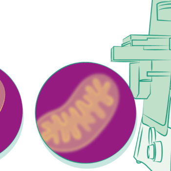 La révolution de la microscopie par expansion