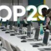 Latest COP29 draft text called a "slap in the face" for developing countries