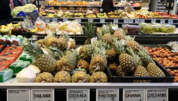 Le Conseil d’Etat annule un décret interdisant les emballages plastiques pour les fruits et légumes frais