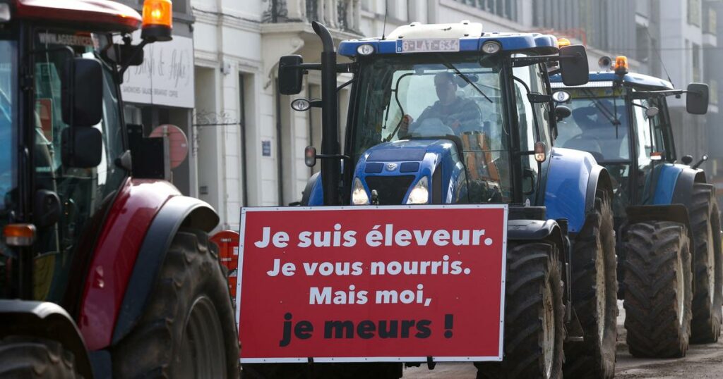 «Le but n’est pas d’emmerder les Français»: la colère du monde agricole entre actions symboliques et revendications profondes