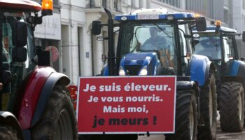 «Le but n’est pas d’emmerder les Français»: la colère du monde agricole entre actions symboliques et revendications profondes