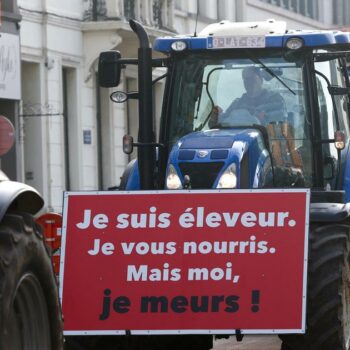 «Le but n’est pas d’emmerder les Français»: la colère du monde agricole entre actions symboliques et revendications profondes