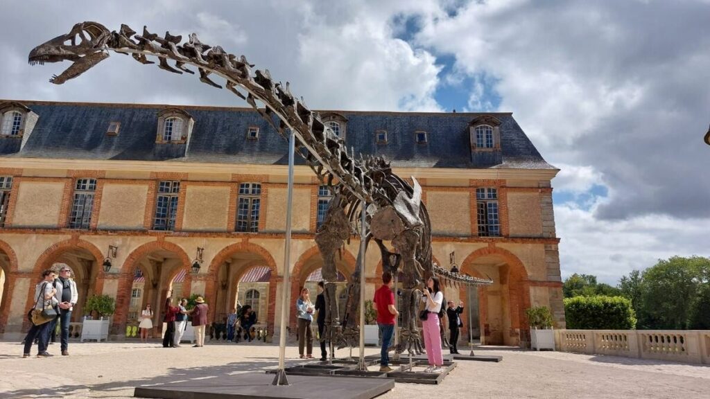 Le plus grand dinosaure jamais mis en vente aux enchères exposé au château de Dampierre-en-Yvelines