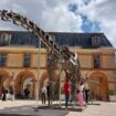 Le plus grand dinosaure jamais mis en vente aux enchères exposé au château de Dampierre-en-Yvelines