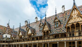 Les Hospices de Beaune se convertissent au bio dans l’adversité