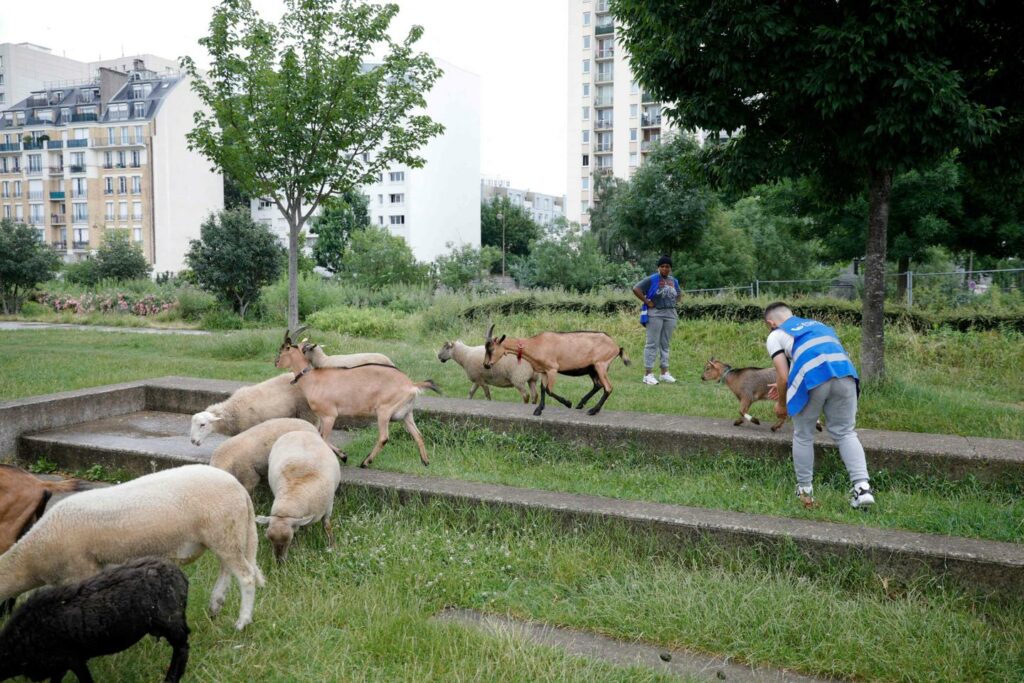 « Les futurs paysans vivent aujourd’hui en ville »