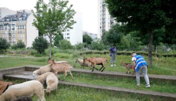 « Les futurs paysans vivent aujourd’hui en ville »