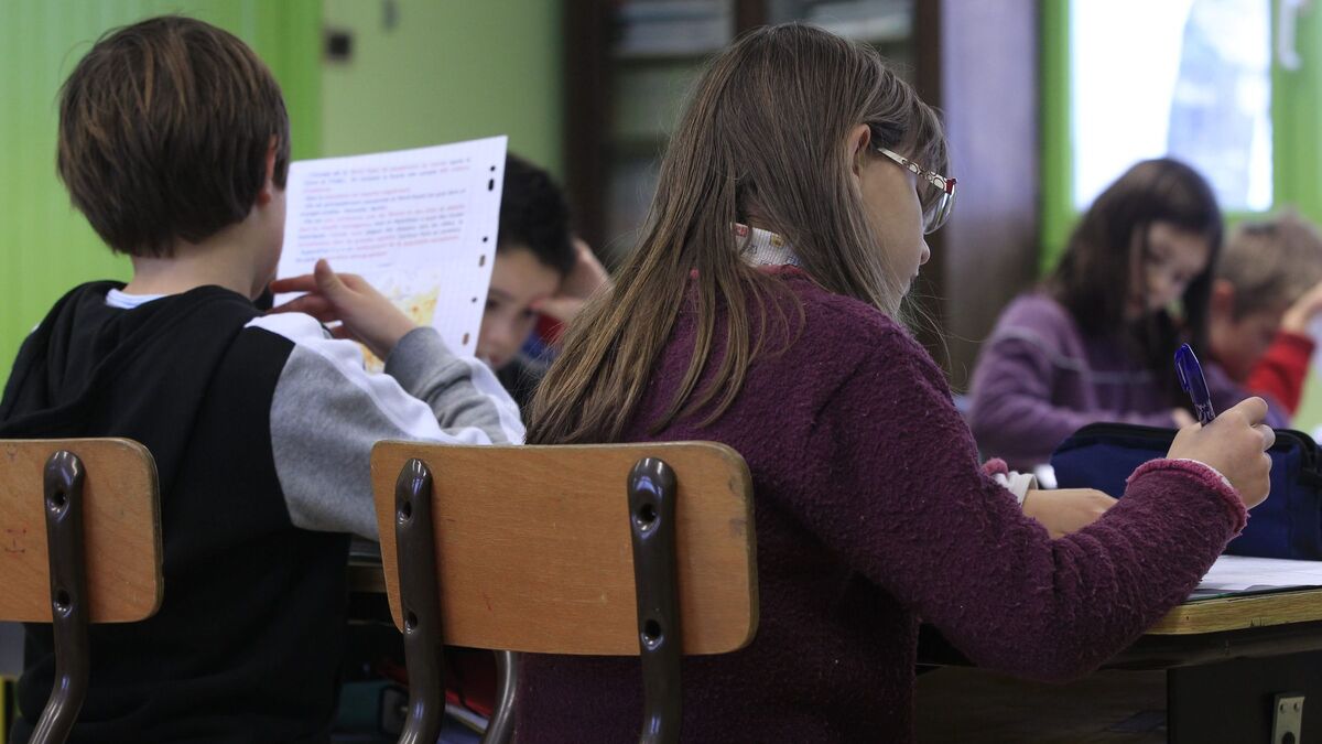 « Les pratiques doivent changer » : en maths, l’écart filles-garçons se creuse au collège