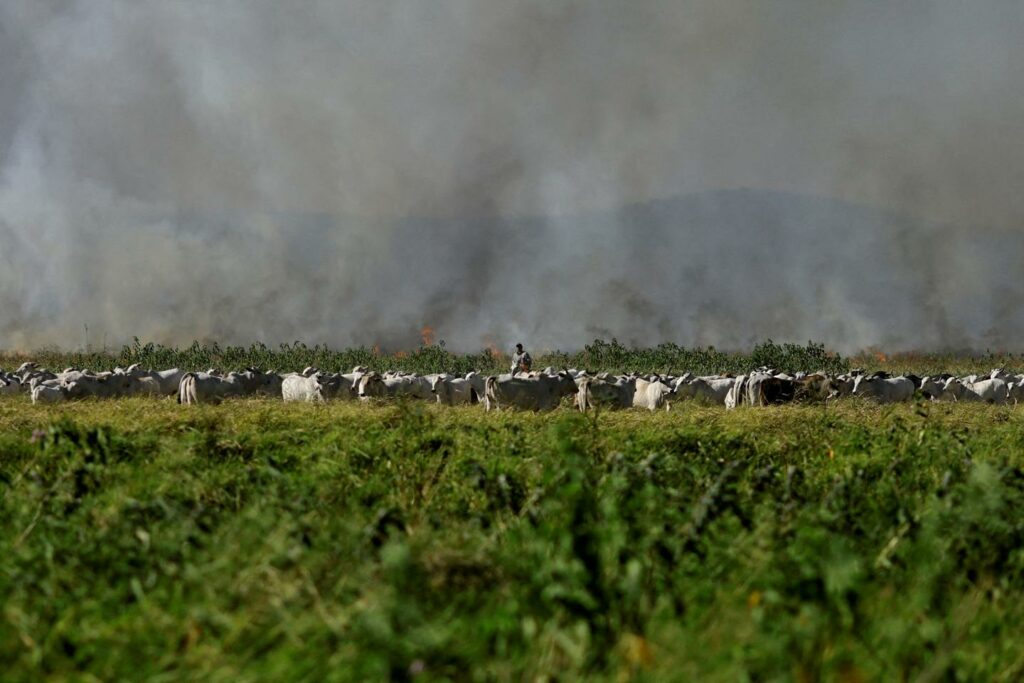 Libre-échange : au Brésil, l’accord UE-Mercosur ne suscite plus autant d’enthousiasme