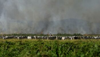 Libre-échange : au Brésil, l’accord UE-Mercosur ne suscite plus autant d’enthousiasme