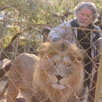 'Lion Man' who raised cubs and treated them as 'children' made fatal mistake