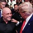 Lip reader deciphers Trump and Joe Rogan's private conversation at UFC 309: 'I won't forget it'