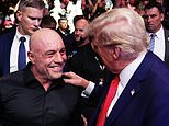 Lip reader deciphers Trump and Joe Rogan's private conversation at UFC 309: 'I won't forget it'