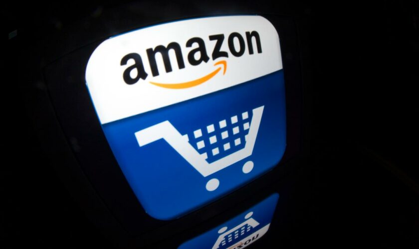 Livre : « Amazon s’arroge le pouvoir d’interpréter le droit à son profit et de fouler aux pieds la loi votée par le Parlement souverain »