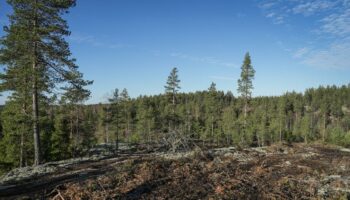 Loi contre la déforestation : les Vingt-Sept refusent le détricotage voté par la droite et l’extrême droite au Parlement européen